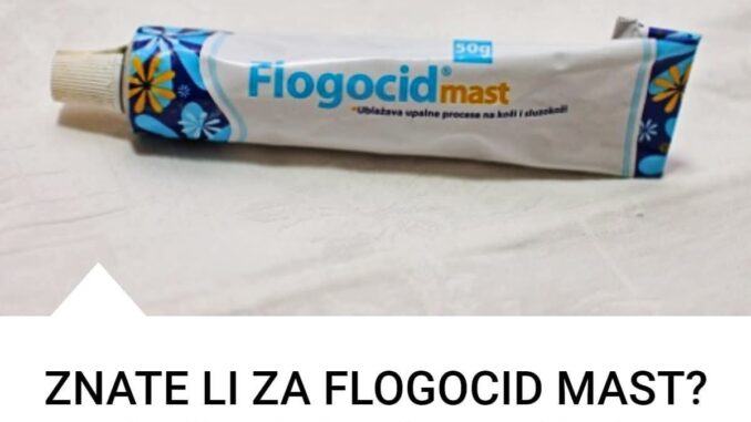 FB_IMG_1759411332642