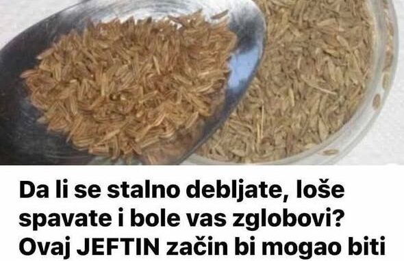 jeftin-zacin