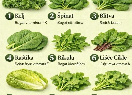 653910859_1252350186998924_4340121268622822288_n